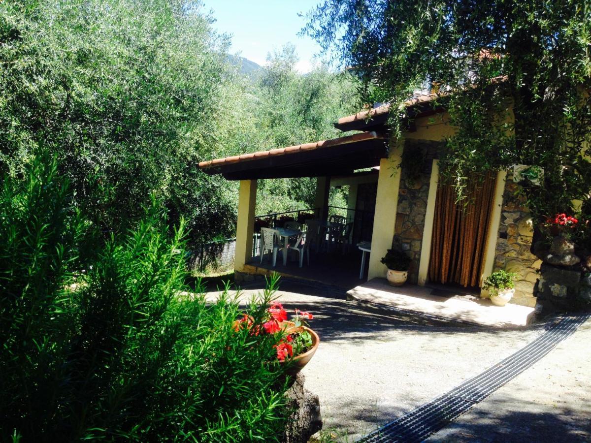 Casa Vacanze Uliveto Бордихера Екстериор снимка
